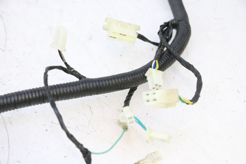 photo de WIRE HARNESS LAZIO RENO 50 (2016 - 2021) - Additional view of the item