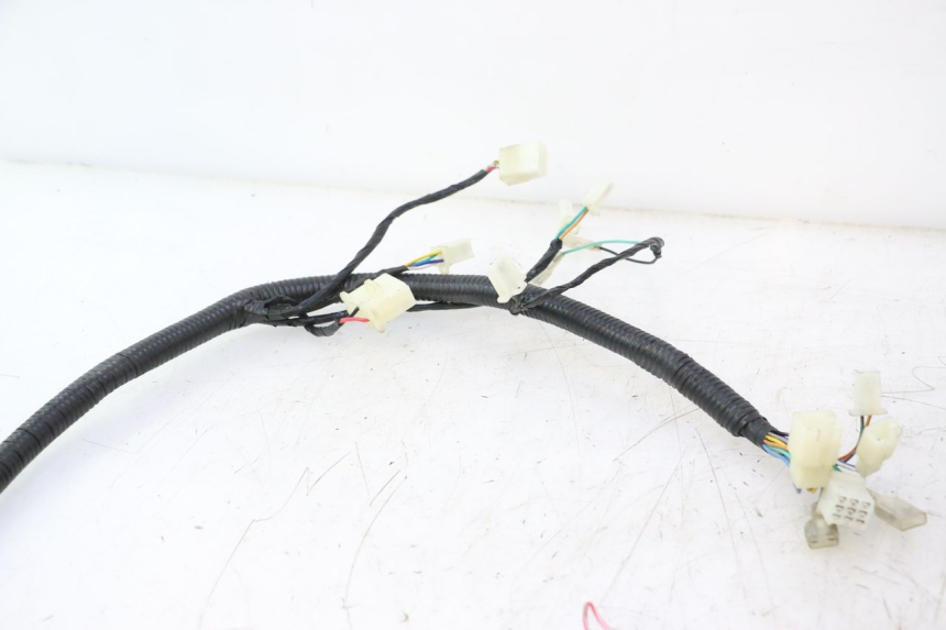 photo de WIRE HARNESS LAZIO RENO 50 (2016 - 2021) - Alternative perspective