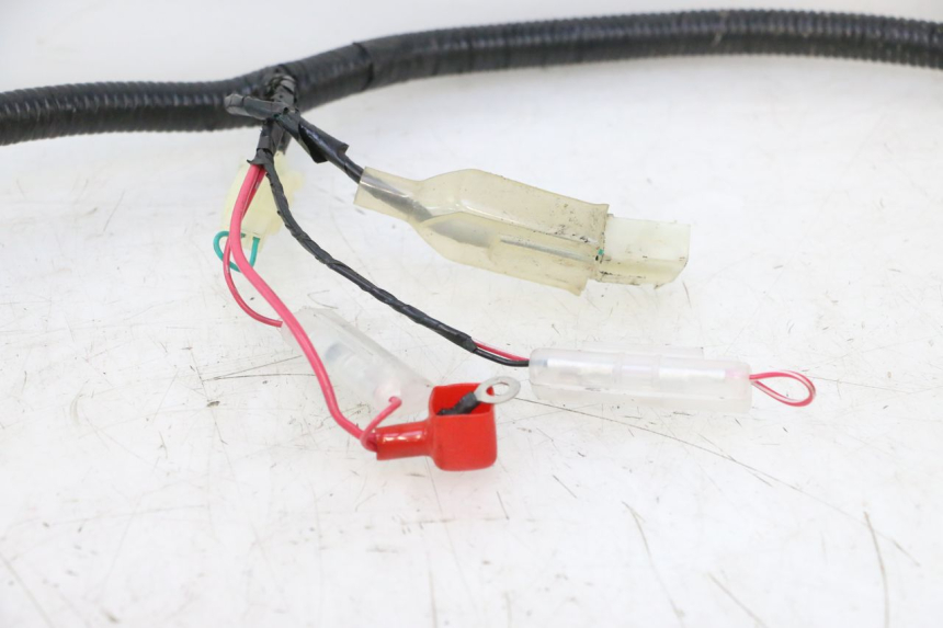 photo de WIRE HARNESS LAZIO RENO 50 (2016 - 2021) - Checked used part