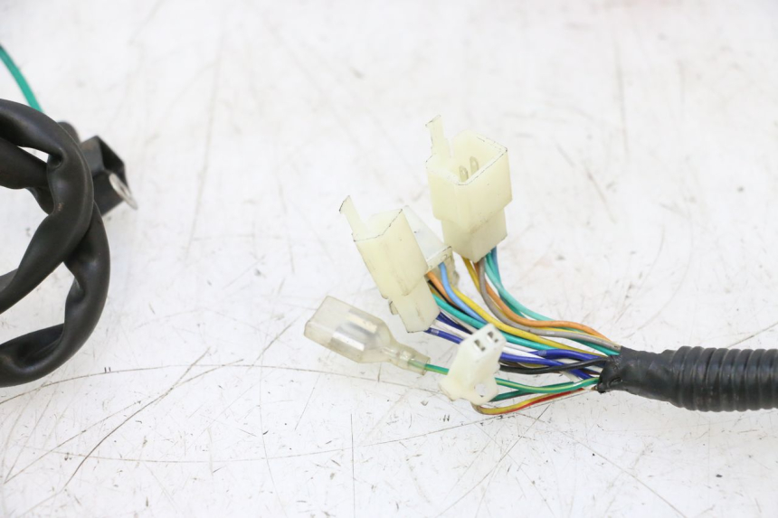 photo de WIRE HARNESS LAZIO RENO 50 (2016 - 2021) - Markings and original references