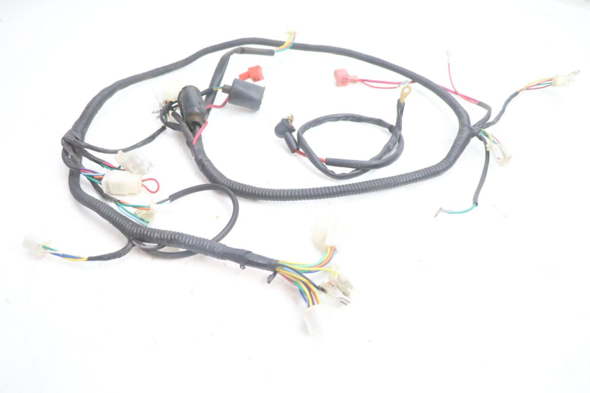 photo de WIRE HARNESS LAZIO RENO 50 (2016 - 2021) - Main view