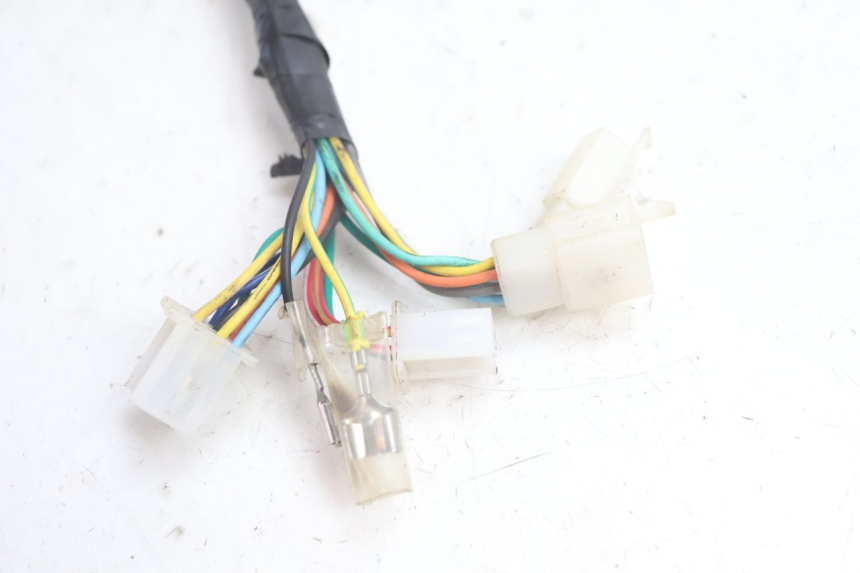 photo de WIRE HARNESS LAZIO RENO 50 (2016 - 2021) - Component detail