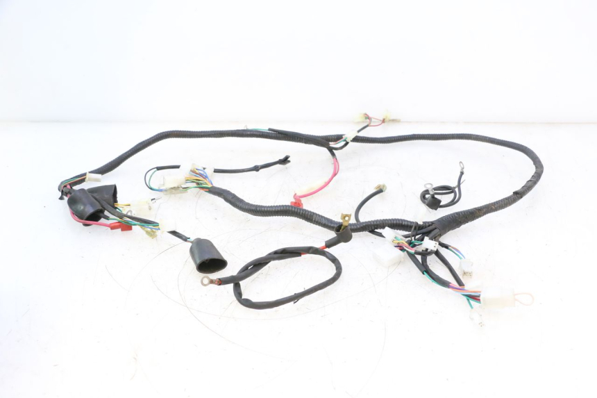 photo de WIRE HARNESS LAZIO RENO 50 (2016 - 2021) - Main view