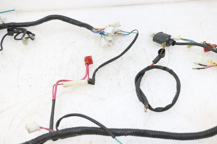 photo de WIRE HARNESS LAZIO RENO 50 (2016 - 2021) - Zoom on usage condition