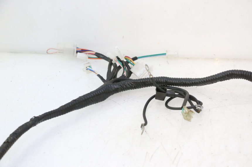 photo de WIRE HARNESS LAZIO RENO 50 (2016 - 2021) - Alternative perspective