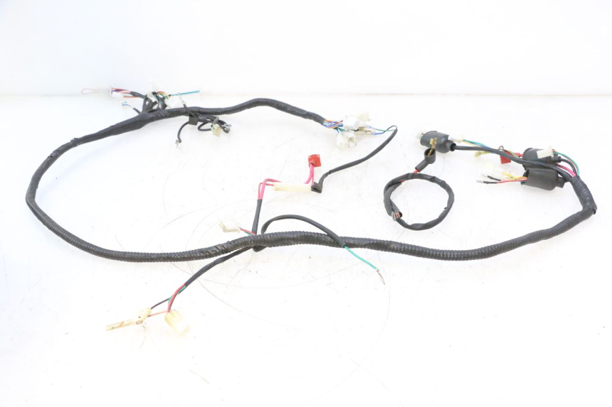 photo de WIRE HARNESS LAZIO RENO 50 (2016 - 2021) - Product overview