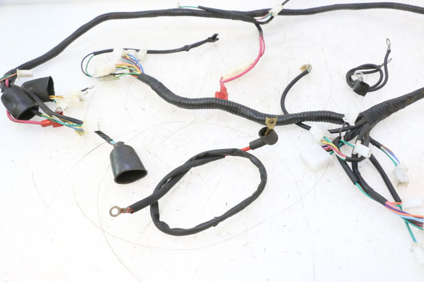 photo de WIRE HARNESS LAZIO RENO 50 (2016 - 2021) - Fixing points details