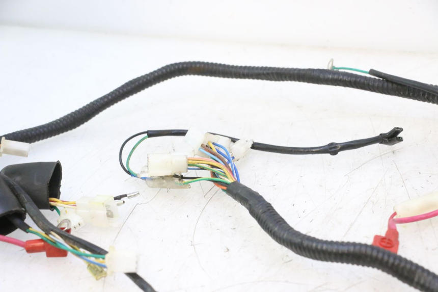 photo de WIRE HARNESS LAZIO RENO 50 (2016 - 2021) - Checked used part
