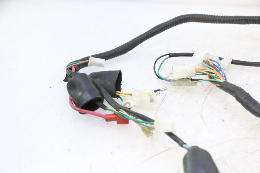 photo de WIRE HARNESS LAZIO RENO 50 (2016 - 2021) - Markings and original references