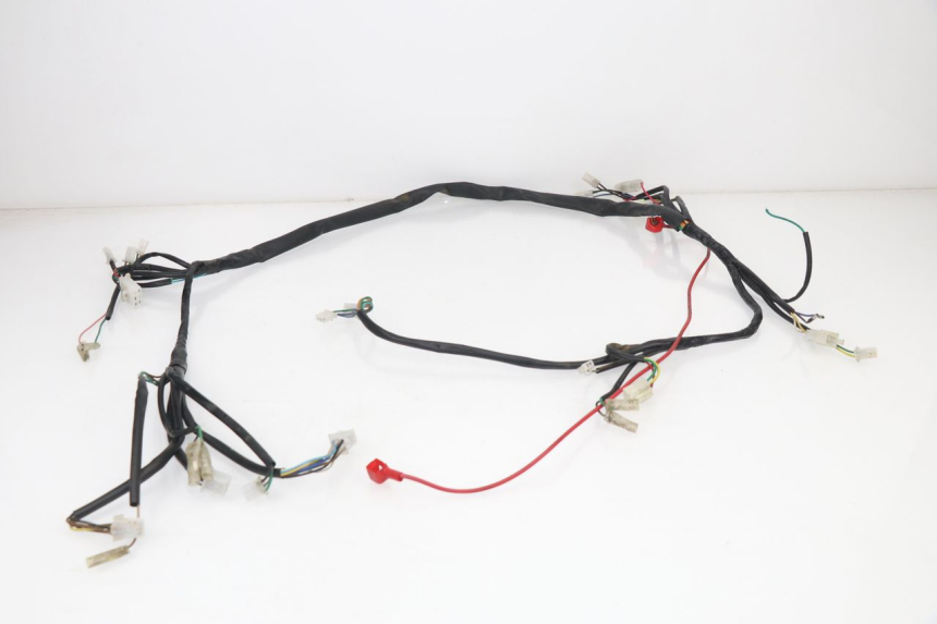 photo de WIRE HARNESS BHM REVENGER 50 (2009 - 2015) - Main view