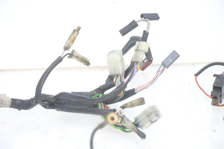 photo de WIRING HARNESS GILERA RK 50 (1996 - 1999) - Alternative perspective