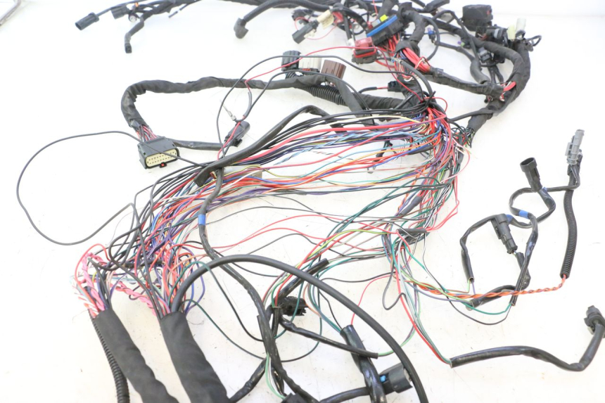 photo de WIRE HARNESS HARLEY DAVIDSON ROAD GLIDE FLTRXSE 1920 (2018 - 2022) - Additional view of the item
