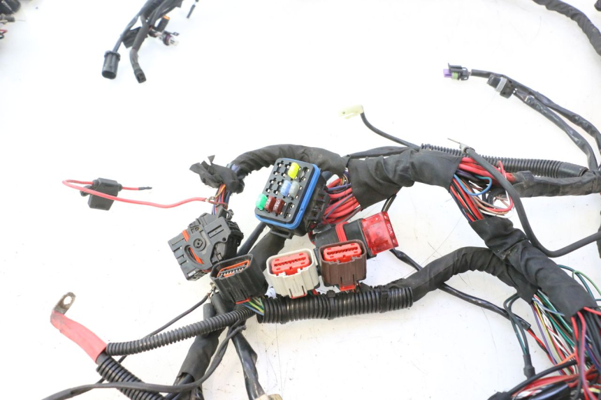 photo de WIRE HARNESS HARLEY DAVIDSON ROAD GLIDE FLTRXSE 1920 (2018 - 2022) - Focus on structure