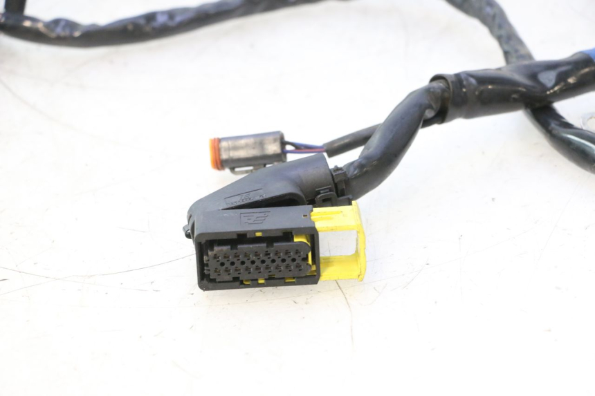 photo de WIRE HARNESS HARLEY DAVIDSON ROAD GLIDE FLTRXSE 1920 (2018 - 2022) - Component detail