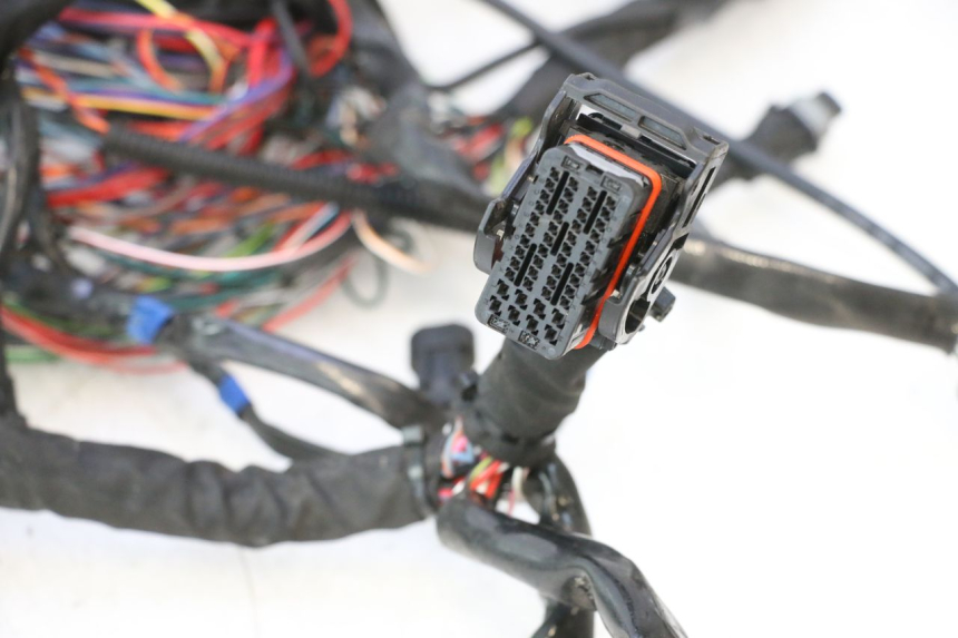 photo de WIRE HARNESS HARLEY DAVIDSON ROAD GLIDE FLTRXSE 1920 (2018 - 2022) - Technical close-up