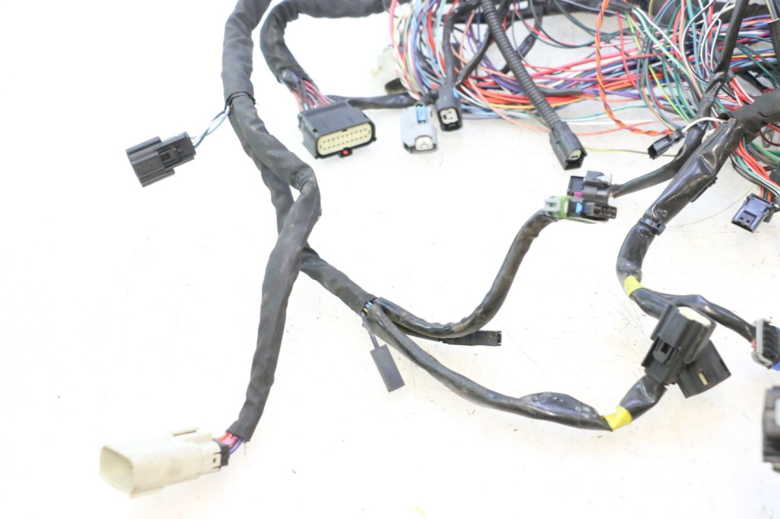 photo de WIRE HARNESS HARLEY DAVIDSON ROAD GLIDE FLTRXSE 1920 (2018 - 2022) - Checked used part