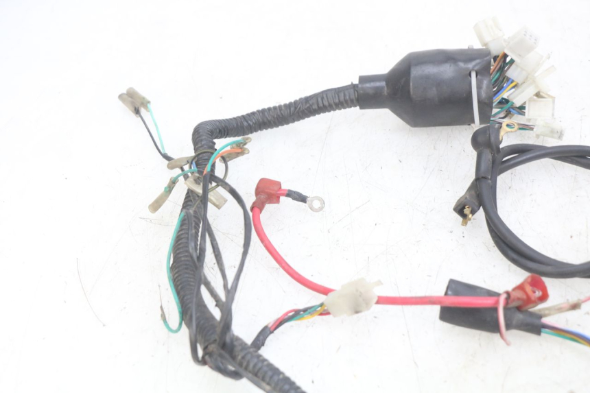 photo de WIRING HARNESS YAMASAKI ROADSTER 50 (2013 - 2018) - Alternative perspective