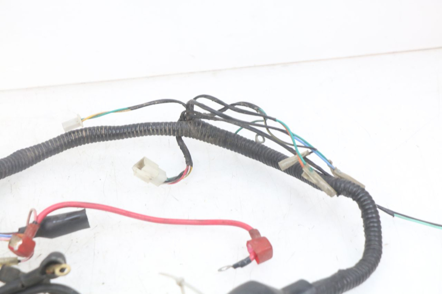 photo de WIRING HARNESS YAMASAKI ROADSTER 50 (2013 - 2018) - Fixing points details