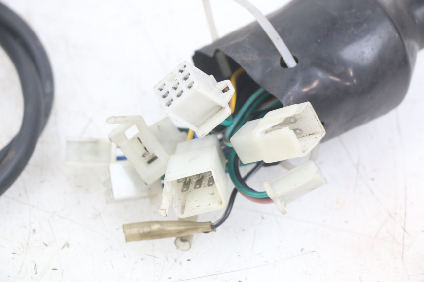 photo de WIRING HARNESS YAMASAKI ROADSTER 50 (2013 - 2018) - Markings and original references