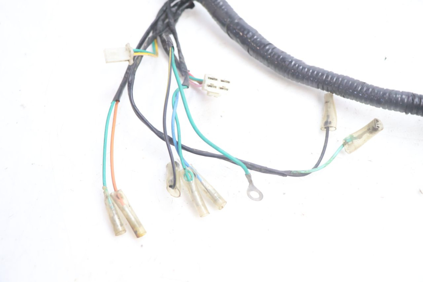 photo de WIRING HARNESS YAMASAKI ROADSTER 50 (2013 - 2018) - Zoom on usage condition
