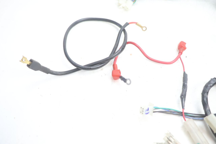photo de WIRING HARNESS YAMASAKI ROADSTER 50 (2013 - 2018) - Product overview