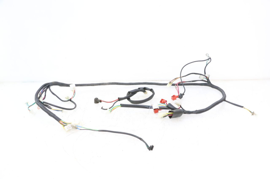 photo de WIRING HARNESS TNT MOTOR ROMA 10' 2T 50 (2011 - 2018) - Main view