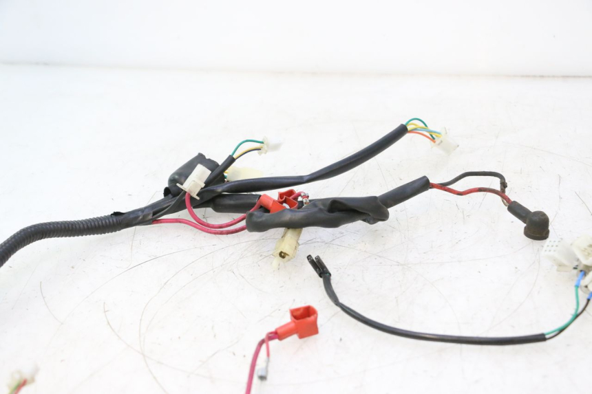 photo de WIRING HARNESS TNT MOTOR ROMA 10' 2T 50 (2011 - 2018) - Component detail