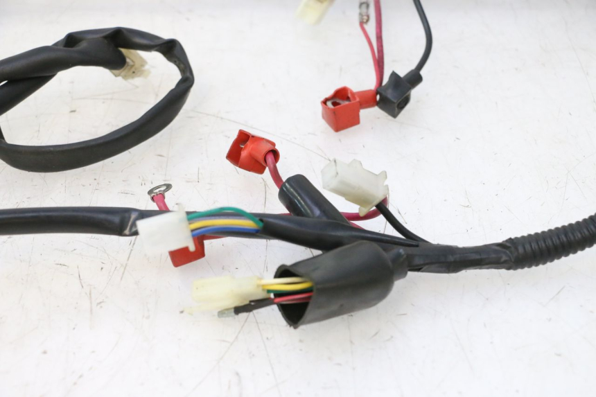 photo de WIRING HARNESS TNT MOTOR ROMA 10' 2T 50 (2011 - 2018) - Distinctive features