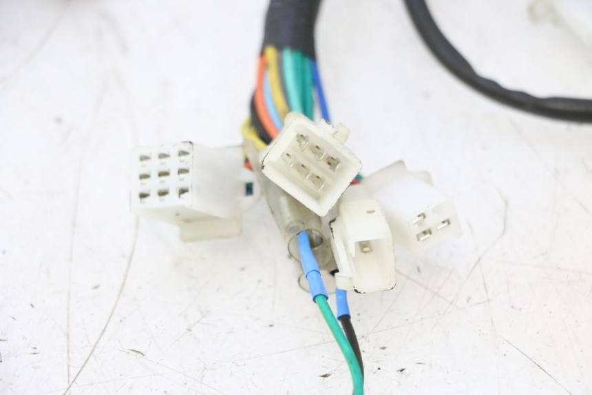 photo de WIRING HARNESS TNT MOTOR ROMA 10' 2T 50 (2011 - 2018) - Technical close-up