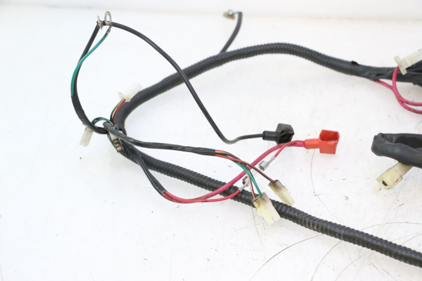 photo de WIRING HARNESS TNT MOTOR ROMA 10' 2T 50 (2011 - 2018) - Surface and material condition