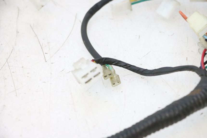 photo de WIRING HARNESS TNT MOTOR ROMA 10' 2T 50 (2011 - 2018) - Checked used part