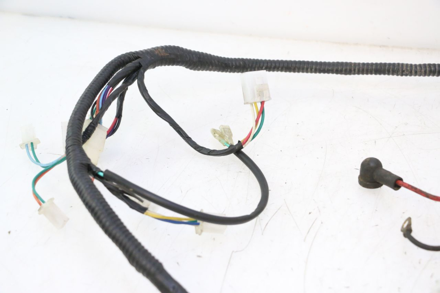 photo de WIRING HARNESS TNT MOTOR ROMA 10' 2T 50 (2011 - 2018) - Markings and original references