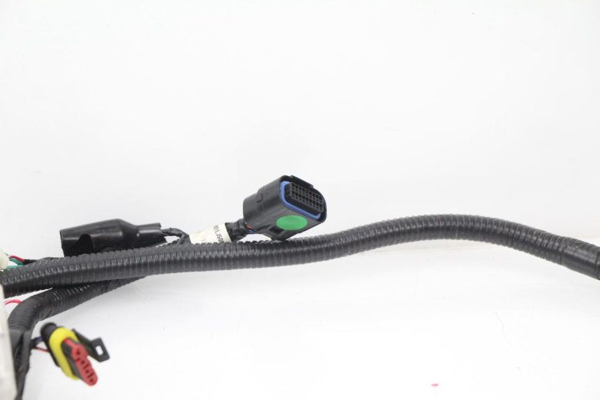 photo de WIRE HARNESS TNT MOTOR ROMA 10' 4T 50 (2007 - 2018) - Fixing points details