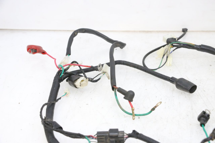 photo de WIRING HARNESS TNT MOTOR ROMA 10' 4T 50 (2019 - 2022) - Component detail