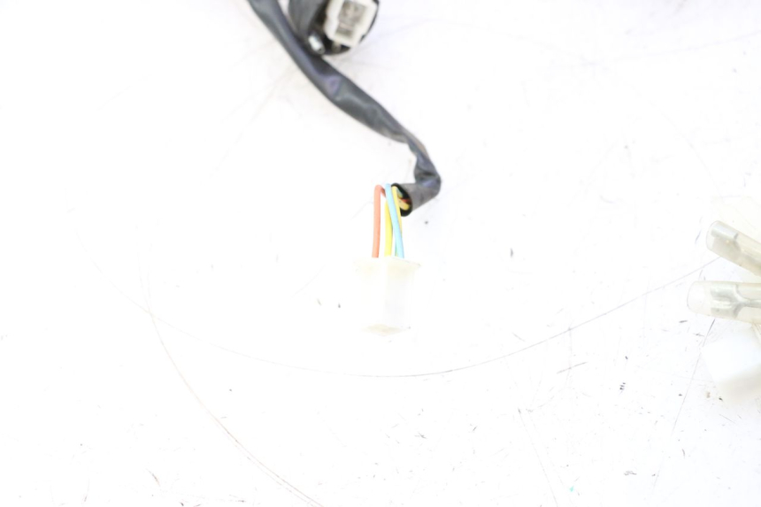 photo de WIRE HARNESS TNT MOTOR ROMA 10' 4T 50 (2007 - 2018) - Additional view of the item