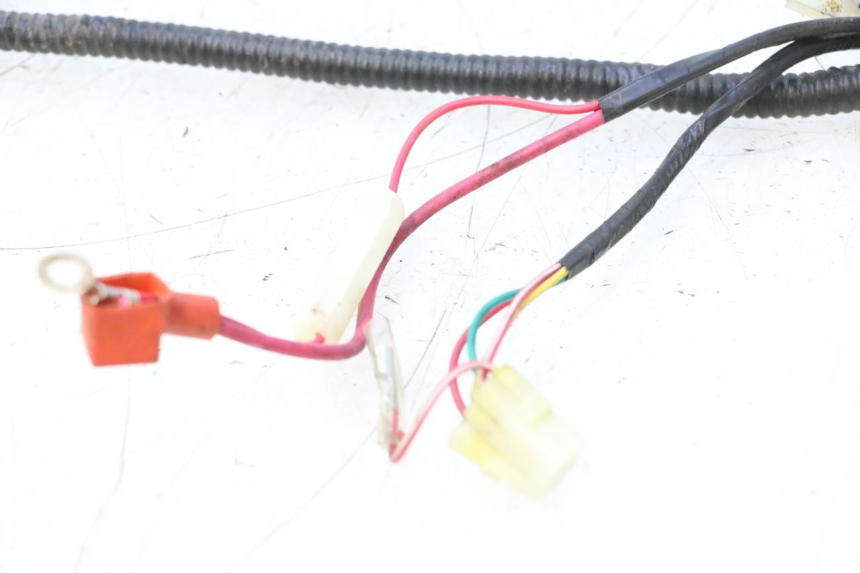 photo de WIRE HARNESS TNT MOTOR ROMA 10' 4T 50 (2007 - 2018) - Product overview