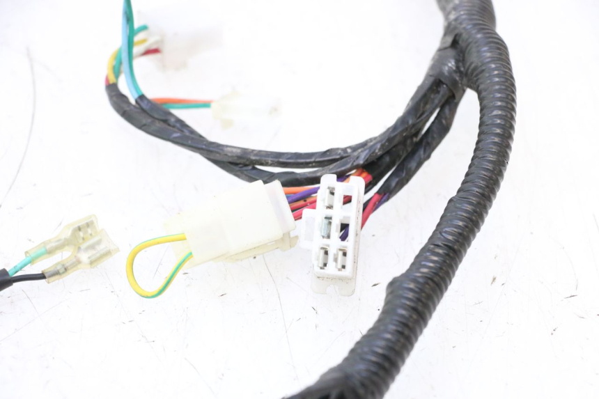 photo de WIRE HARNESS TNT MOTOR ROMA 10' 4T 50 (2007 - 2018) - Checked used part