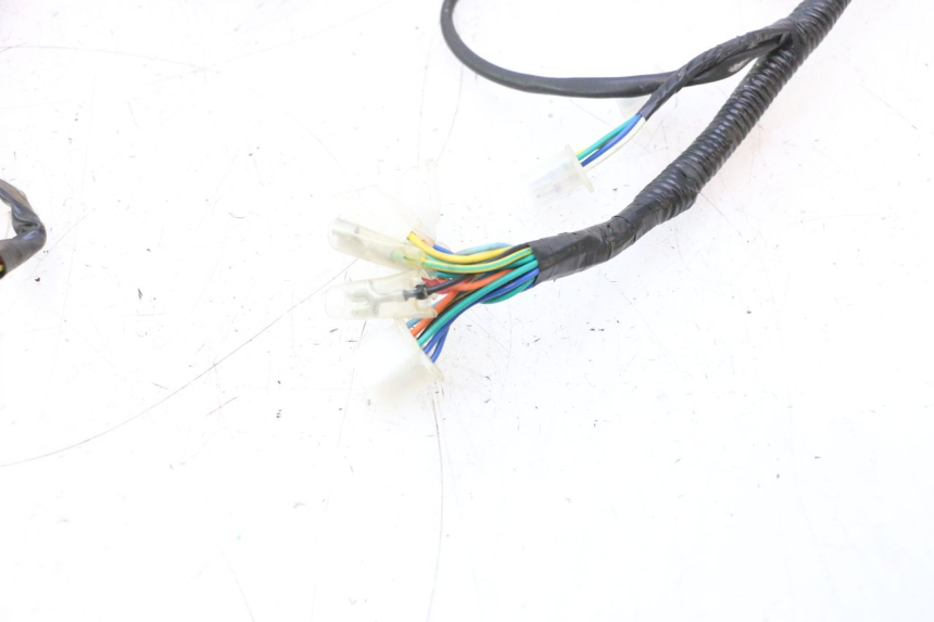 photo de WIRE HARNESS TNT MOTOR ROMA 10' 4T 50 (2007 - 2018) - Markings and original references
