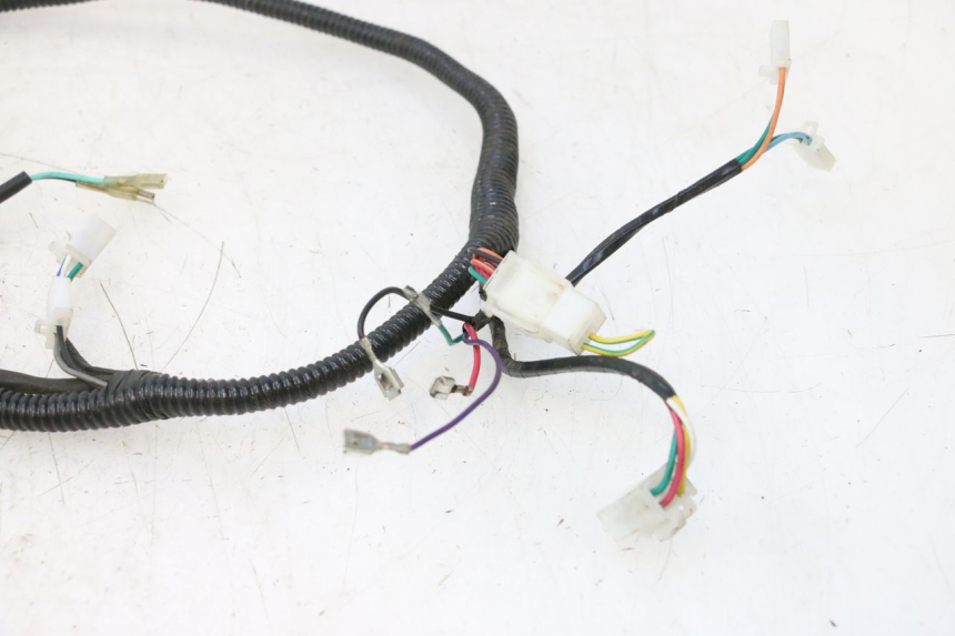 photo de WIRE HARNESS TNT MOTOR ROMA 12' 2T 50 (2007 - 2018) - Additional view of the item