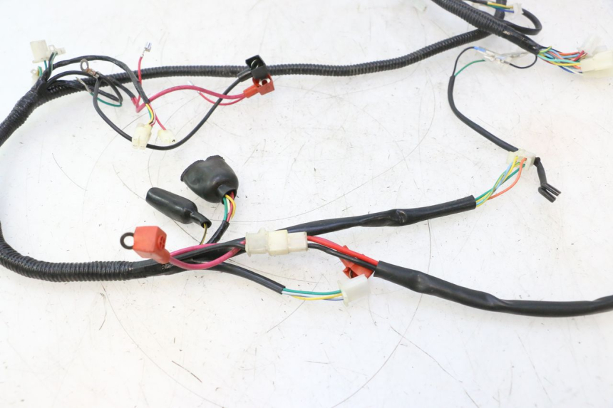 photo de WIRE HARNESS TNT MOTOR ROMA 12' 2T 50 (2007 - 2018) - Zoom on usage condition