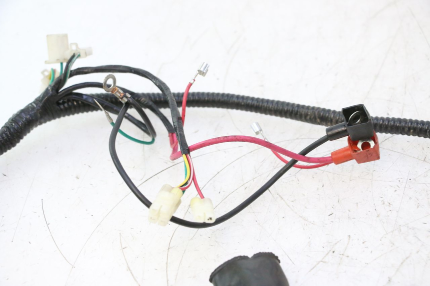 photo de WIRE HARNESS TNT MOTOR ROMA 12' 2T 50 (2007 - 2018) - Alternative perspective