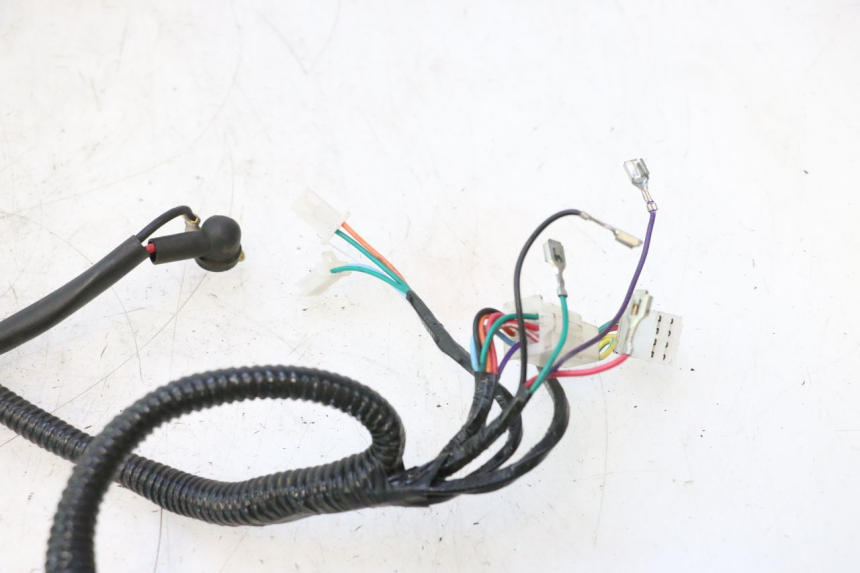 photo de WIRE HARNESS TNT MOTOR ROMA 12' 2T 50 (2007 - 2018) - Technical close-up