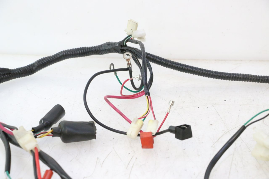 photo de WIRE HARNESS TNT MOTOR ROMA 12' 2T 50 (2007 - 2018) - Fixing points details