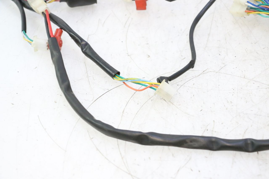 photo de WIRE HARNESS TNT MOTOR ROMA 12' 2T 50 (2007 - 2018) - Checked used part