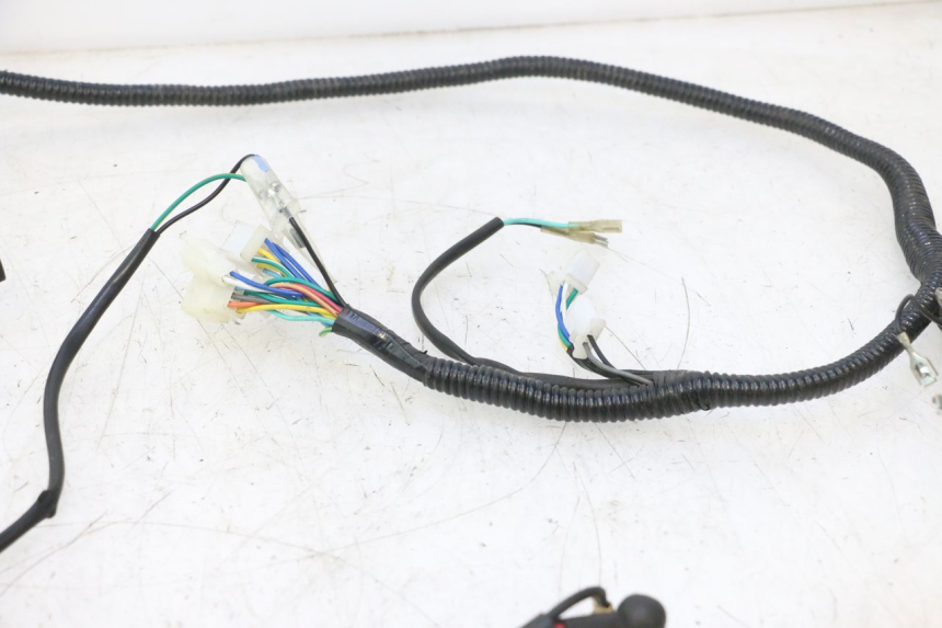 photo de WIRE HARNESS TNT MOTOR ROMA 12' 2T 50 (2007 - 2018) - Markings and original references