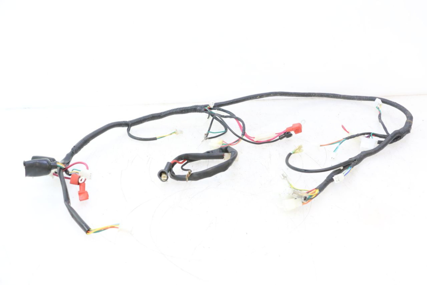 photo de WIRE HARNESS TNT MOTOR ROMA 12' 2T 50 (2007 - 2018) - Main view
