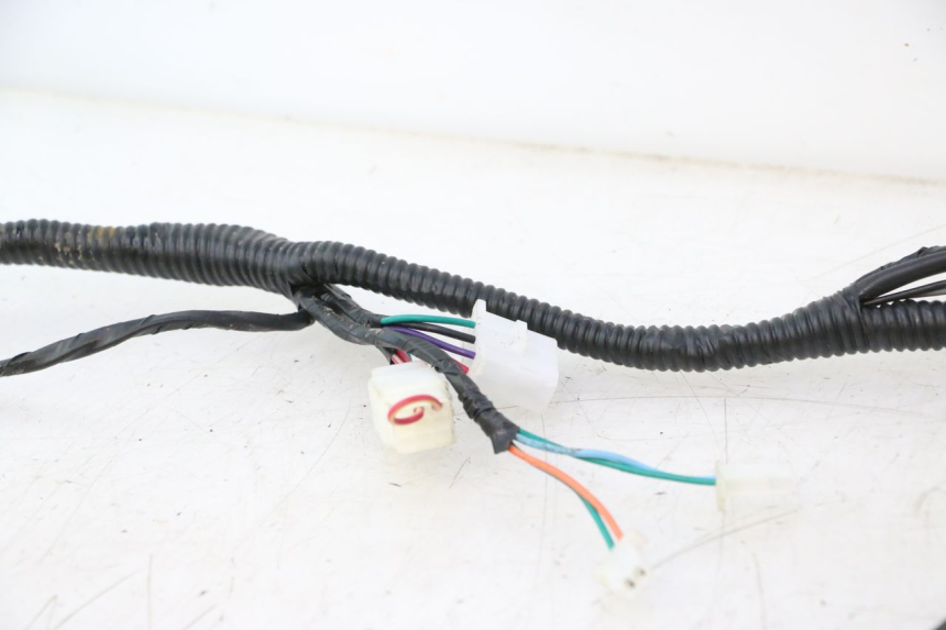 photo de WIRE HARNESS TNT MOTOR ROMA 12' 2T 50 (2007 - 2018) - Zoom on usage condition