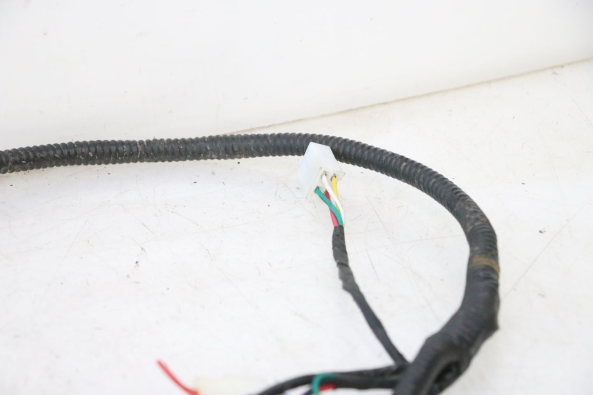photo de WIRE HARNESS TNT MOTOR ROMA 12' 2T 50 (2007 - 2018) - Product overview
