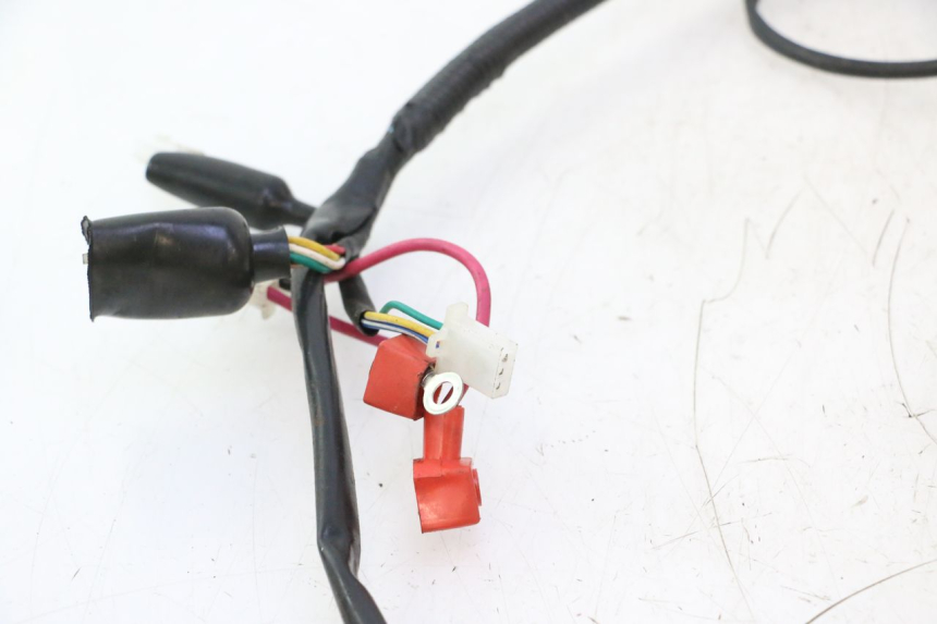 photo de WIRE HARNESS TNT MOTOR ROMA 12' 2T 50 (2007 - 2018) - Checked used part