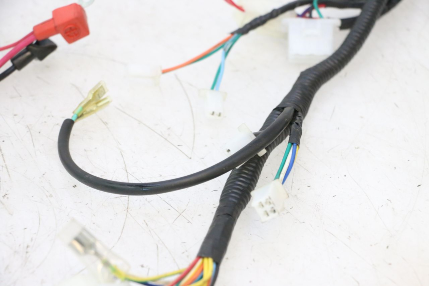 photo de WIRE HARNESS TNT MOTOR ROMA 12' 2T 50 (2007 - 2018) - Markings and original references